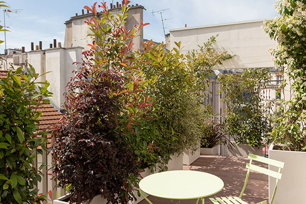 terrasse-renovation-appartement-Paris