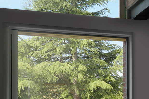 Ouverture de l'extension vers le grand sapin.-agrandissement_extension-maison-Willems