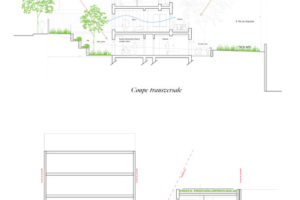 Coupe-construction-maison-Rueil-Malmaison