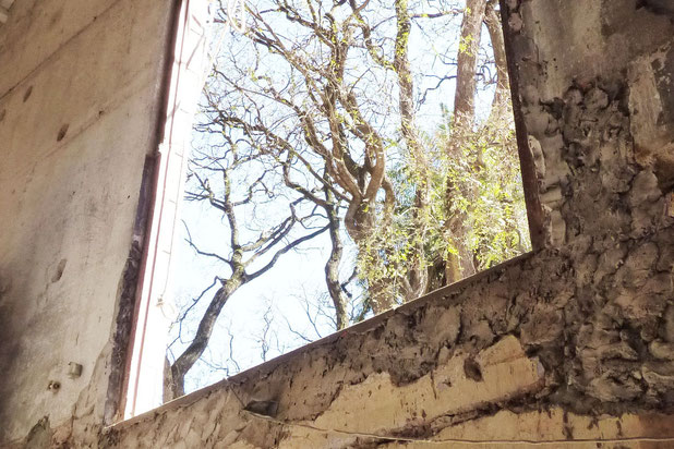 Hall d'entrée du parc origine-rehabilitation-autre-Buenos Aires