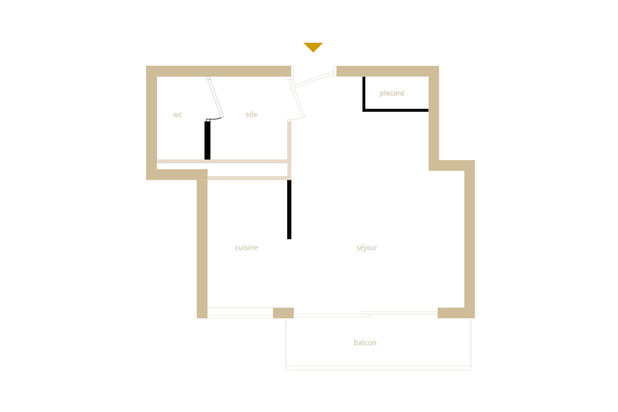 Plan avant projet-renovation-appartement-Paris