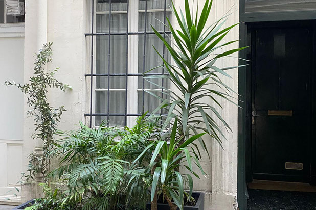 Aménagement extérieur-amenagement-espaces_exts-Paris