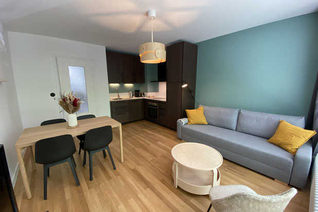 Séjour-renovation-appartement-Annecy