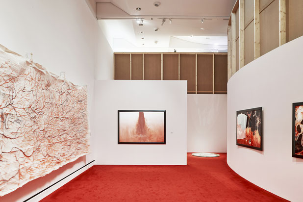 Vue de l'exposition-amenagement-autre-Strasbourg