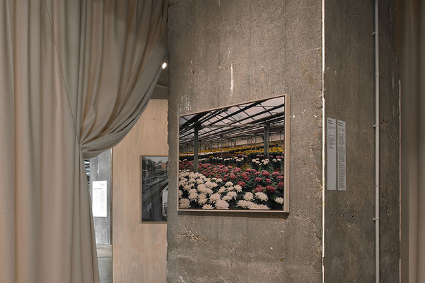 Vue de l'exposition-amenagement-autre-Pantin