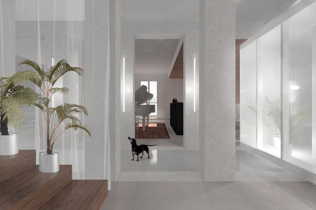 Depuis l'entrée-renovation-logement-Paris