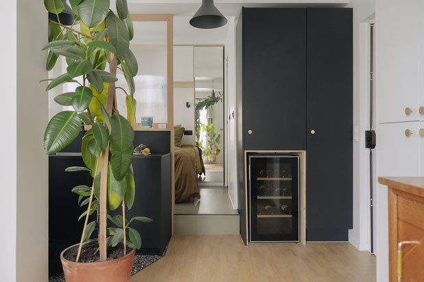 SALON-renovation-appartement-Paris
