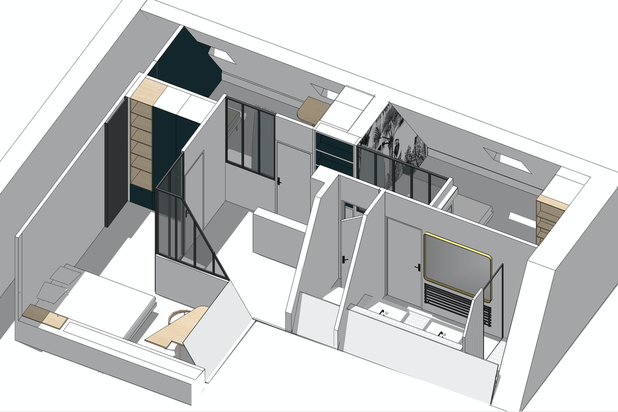 Vue 3D des combles-renovation-appartement-Paris