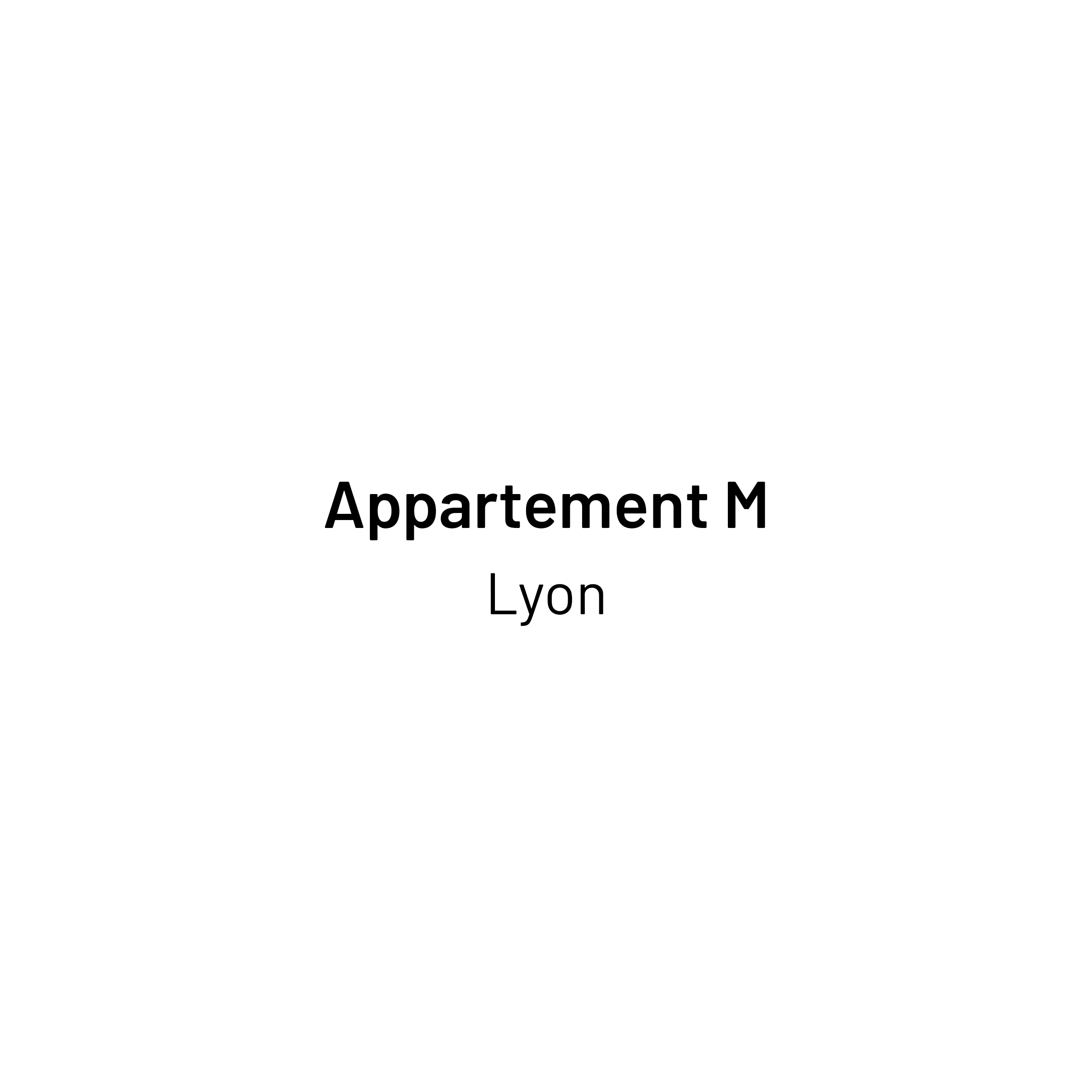 Réorganisation et rénovation d'un deux pièces à Lyon – rénovation d'appartement Vienne Réorganisation et rénovation d'un deux pièces à Lyon – rénovation d'appartement Vienne