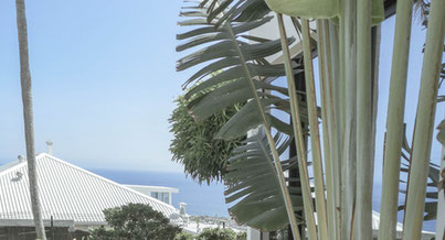 Photo d'un projet de Construction Maison à Saint-Denis