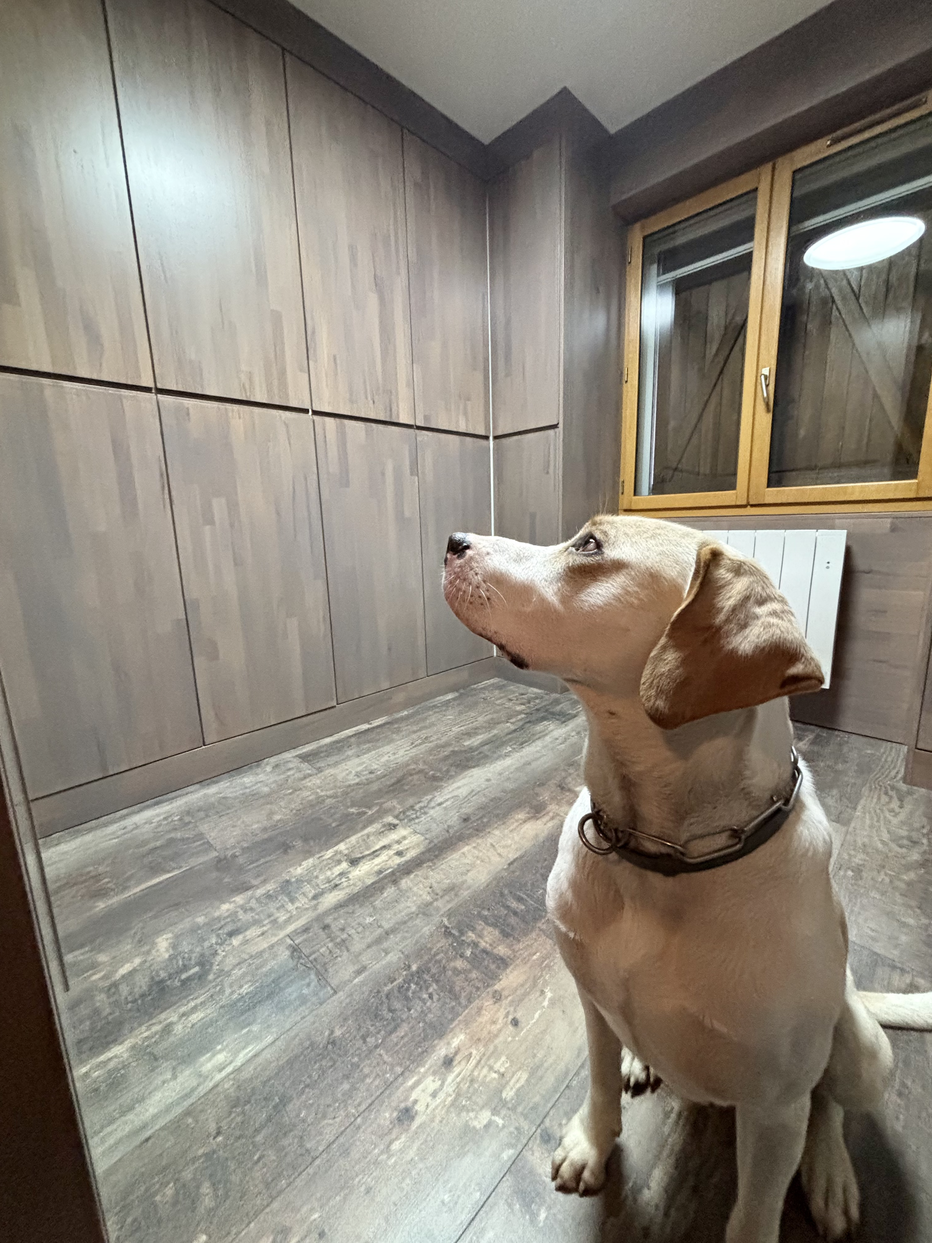 KONDO – rénovation de maison Savoie