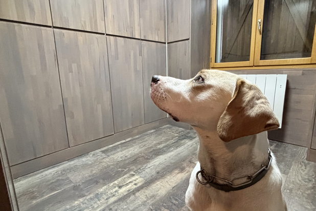 KONDO-renovation-maison-Custines