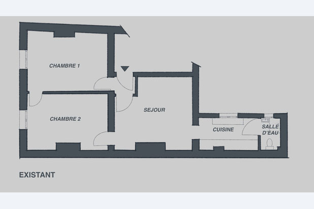 Plan existant-renovation-appartement-Paris