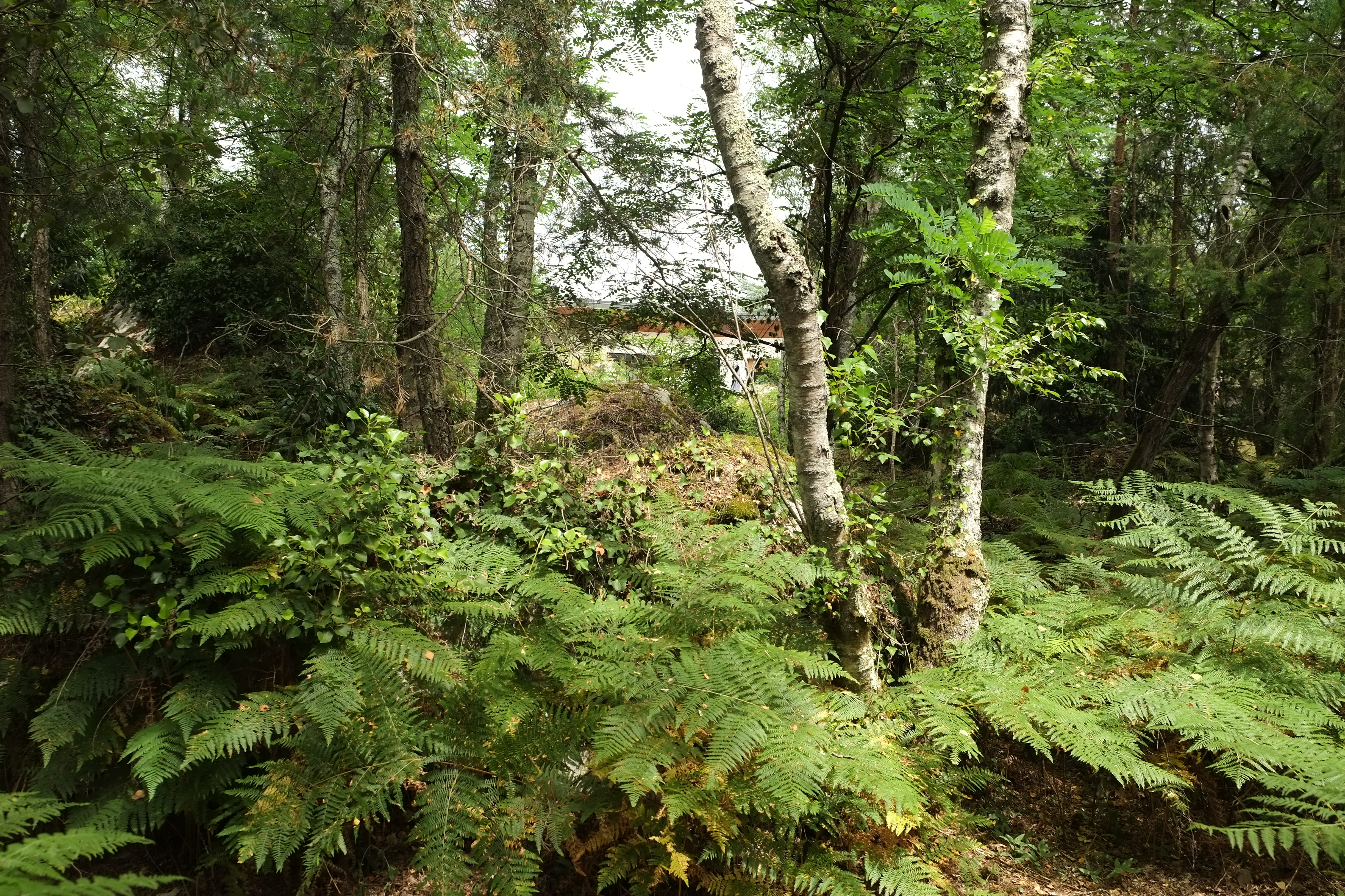 Refuge de Fontainebleau – rénovation de maison Isère