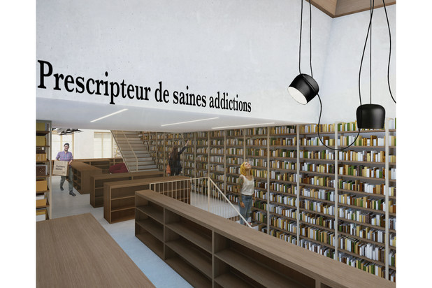 Une montagne de livres-rehabilitation-boutique_local-Mulhouse