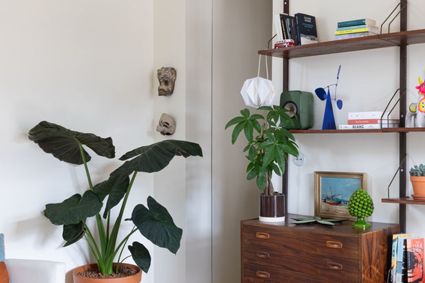 Porte dérobée-renovation-appartement-Paris