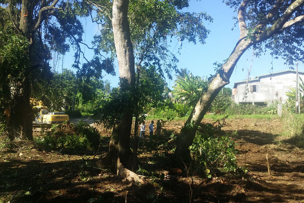 terrain existant-construction-maison-Petit-Bourg