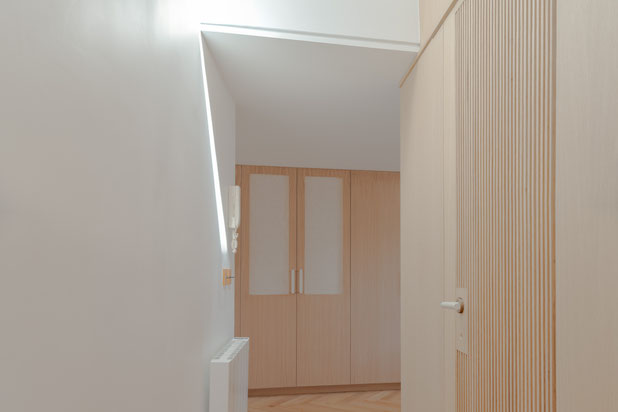 Entrée en double hauteur-renovation-appartement-Paris