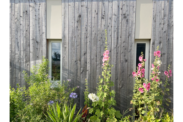 Façade bois-agrandissement_extension-extension-Plouescat