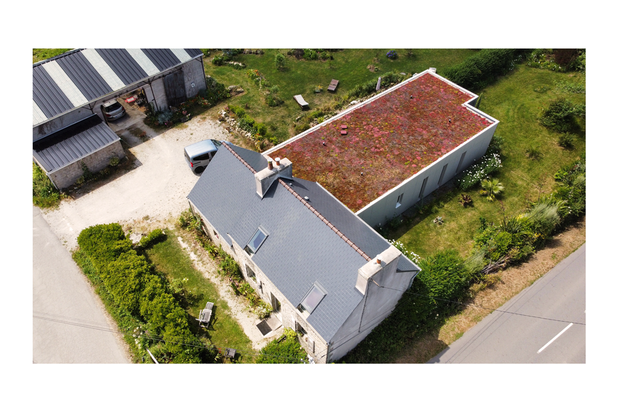 Toiture végétale-agrandissement_extension-extension-Plouescat