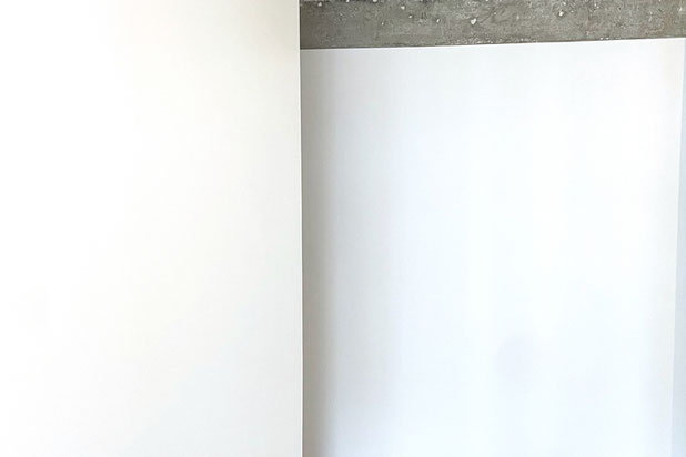 Photo de chantier, le salon-amenagement-appartement-Paris