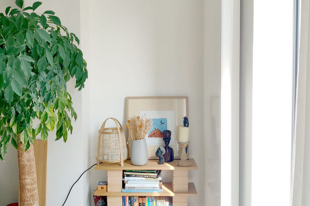 Salon-renovation-appartement-Evere