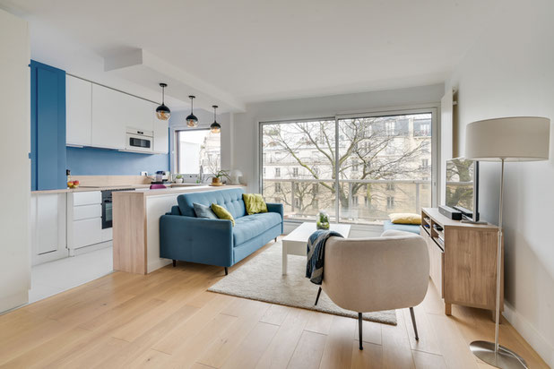 Le séjour-renovation-appartement-Paris