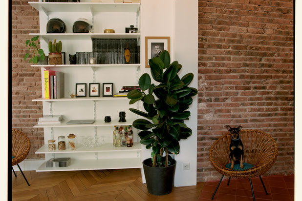 Bibliothèque-renovation-appartement-Paris