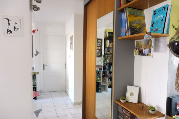 Distribution-renovation-appartement-Lyon
