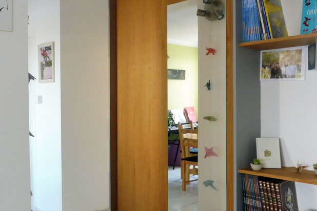 Entrée / Couloir-renovation-appartement-Lyon