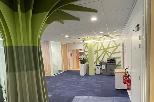 L'arbre-amenagement-bureaux-Paris