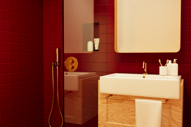 Salle de douche-amenagement-appartement-Paris