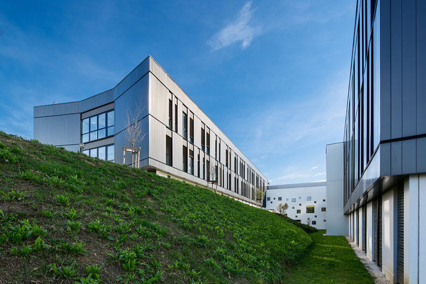 Photo Patio-construction-bureaux-Limonest