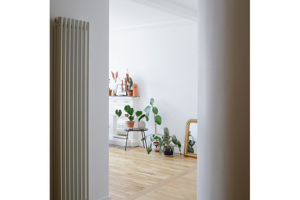 Lumière + courbes-rehabilitation-appartement-Paris