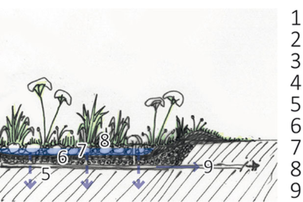 Eaux pluviales hydratant une jardinière puis s'infiltrant en un jardin de pluie-amenagement-espaces_exts-Poitiers