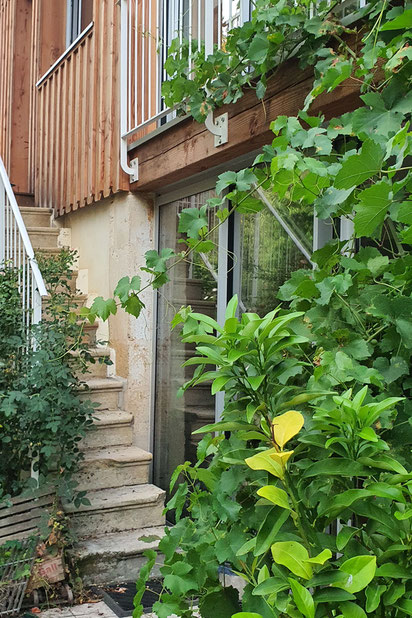 Escalier en pierre préservé-agrandissement_extension-maison-Pujols-sur-Ciron