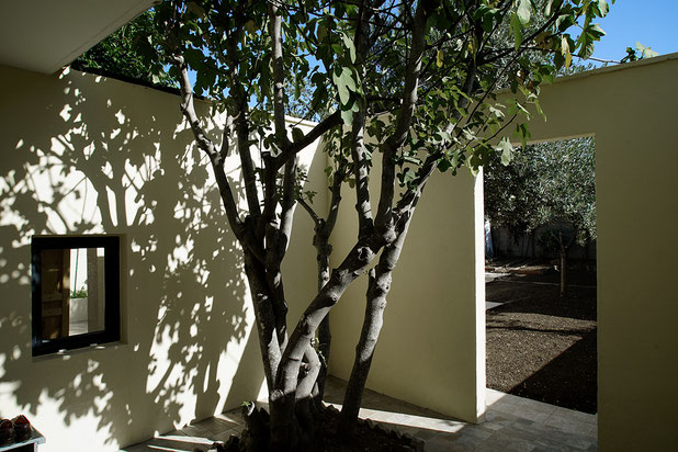 Vue jardin-agrandissement_extension-maison-Villeneuve-le-Roi