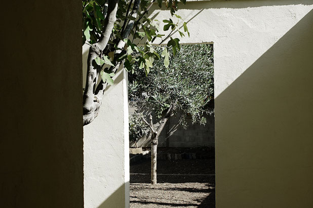 Vue jardin-agrandissement_extension-maison-Villeneuve-le-Roi