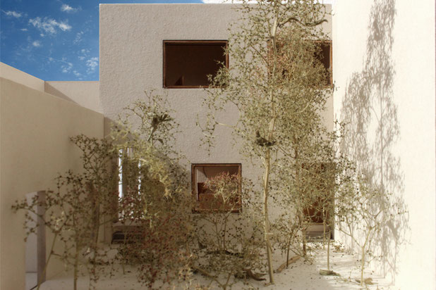 Jardin-construction-maison-Paris