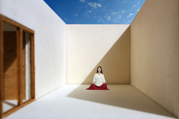 Terrasse Zen-construction-maison-Paris