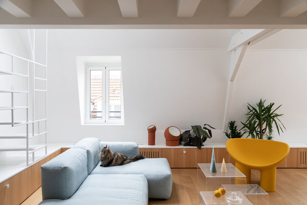DOUBLE . Rénovation d'un duplex sous les toits-renovation-appartement-Paris