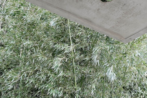 Mirror detail-agrandissement_extension-maison-La Forêt-Fouesnant