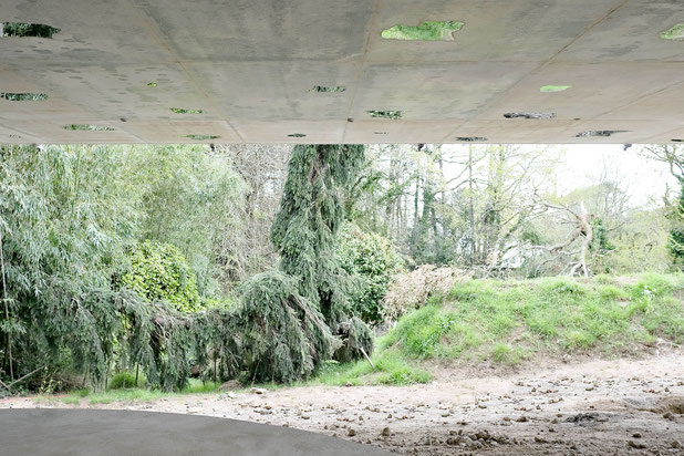 Photo du jardin d'ombrage en reflets-agrandissement_extension-maison-La Forêt-Fouesnant