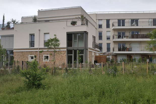 Vue sur du parc urbain sur un nouveau bâtiment collectif-construction-immeuble-Andrésy