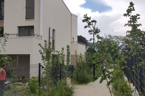 Vue sur les logements semi-collectifs-construction-immeuble-Andrésy