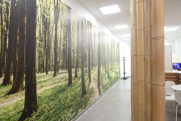 Entrée-renovation-bureaux-Chartres