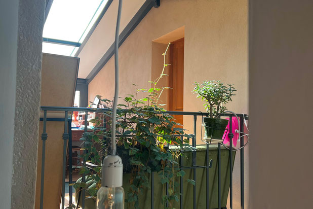 Détail espace de vie-agrandissement_extension-maison-Lyon