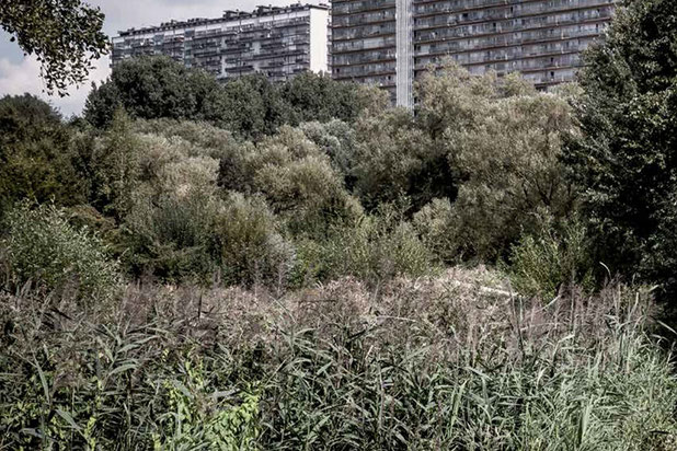 BML-autre-espaces_exts-Paris