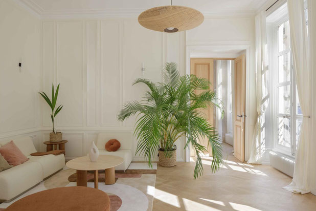 Séjour-renovation-appartement-Paris