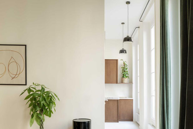 Vue sur la cuisine-renovation-appartement-Paris